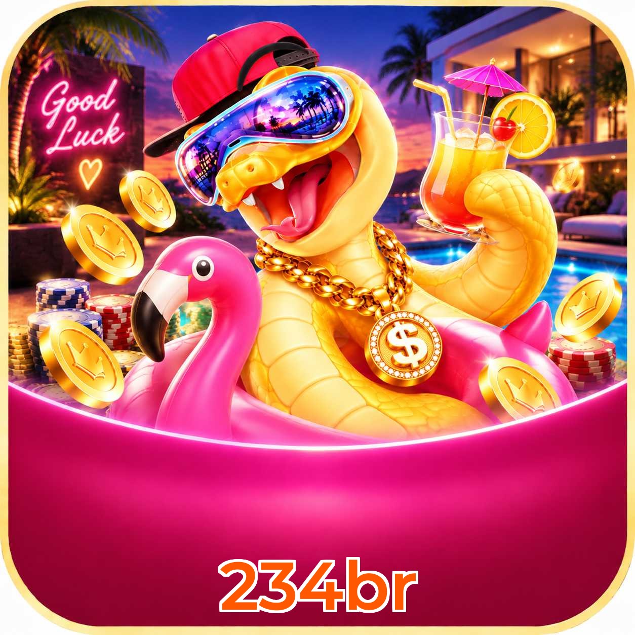 234br App FAQ